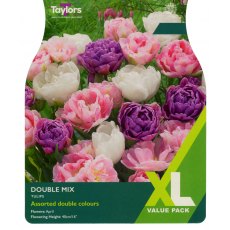TAYLORS Tulip Double Mix TAYLORS Tulip Double Mix