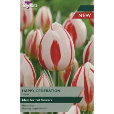 TAYLORS Tulip Happy Generation TAYLORS Tulip Happy Generation