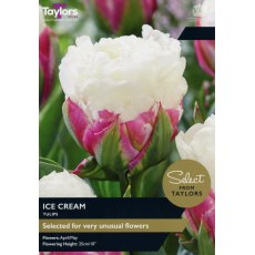 TAYLORS Tulip Ice Cream TAYLORS Tulip Ice Cream