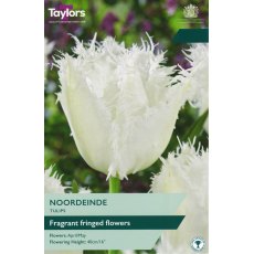 TAYLORS Tulip Noordeinde TAYLORS Tulip Noordeinde