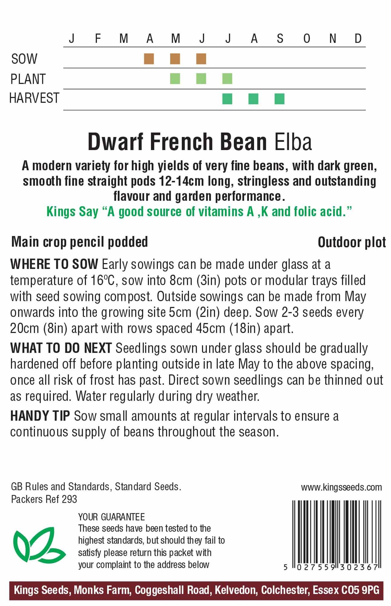 Kings Seeds Dwarf French Bean Elba - Willowbrook Nursery and Garden Centre