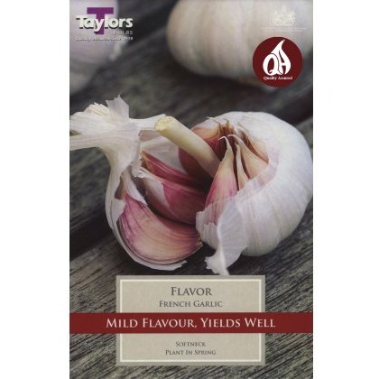 GARLIC - FRENCH Flavor GARLIC - FRENCH Flavor