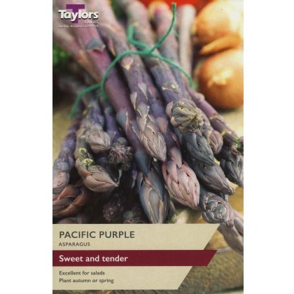 ASPARAGUS Pacific Purple ASPARAGUS Pacific Purple