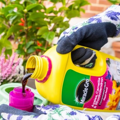 MIRACLE-GRO® Azalea, Camellia & Rhododendron Concentrated Liquid Plant Food 800ml MIRACLE-GRO® Azalea, Camellia & Rhododendron Concentrated Liquid Plant Food 800ml