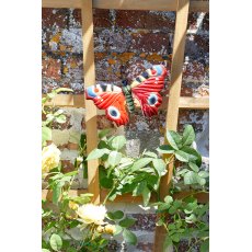 Large Butterfly Large Butterfly