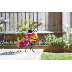 Large Jazee Ant Large Jazee Ant