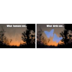 Window Alert - Butterfly - Pack of 4 stickers Window Alert - Butterfly - Pack of 4 stickers