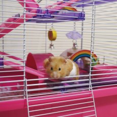 Rainbow Play Bridge Small Rainbow Play Bridge Small