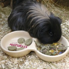 BOREDOM BREAKER Twin Naturals Stoneware Bowl BOREDOM BREAKER Twin Naturals Stoneware Bowl