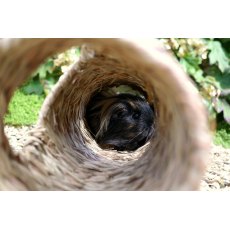 Woven Play Tunnel Woven Play Tunnel