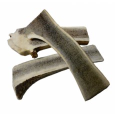 ANCO Antlers Easy Large Size ANCO Antlers Easy Large Size