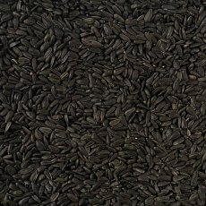 JOHNSTON & JEFF Black Sunflowerseed 1kg JOHNSTON & JEFF Black Sunflowerseed 1kg