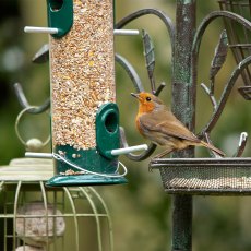 PECKISH All Weather Large Seed Feeder PECKISH All Weather Large Seed Feeder