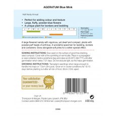 Ageratum Blue Mink Ageratum Blue Mink