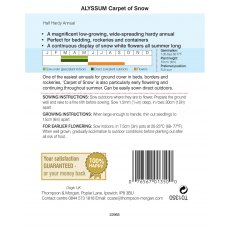 Alyssum Carpet of Snow Alyssum Carpet of Snow