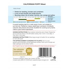 Californian Poppy Mixed Californian Poppy Mixed