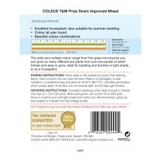 Coleus T&M Prize Strain Improved Coleus T&M Prize Strain Improved