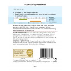 Cosmos Brightness Mixed Cosmos Brightness Mixed