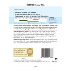 Cosmos Double Click Cosmos Double Click