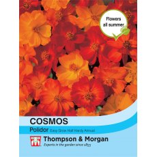 Cosmos Polidor Cosmos Polidor