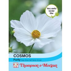 Cosmos Purity Cosmos Purity