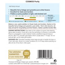 Cosmos Purity Cosmos Purity