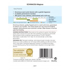 Echinacea purpurea magnus Echinacea purpurea magnus