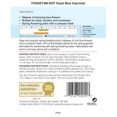 Forget-me-not Royal Blue Improved Forget-me-not Royal Blue Improved