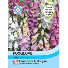 Foxglove Foxy Foxglove Foxy