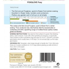 Foxglove Foxy Foxglove Foxy