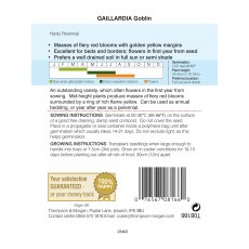 Gaillardia Goblin Gaillardia Goblin