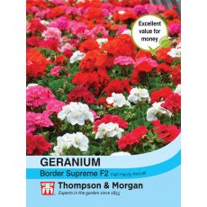 Geranium Border Supreme F2 Hybrid Geranium Border Supreme F2 Hybrid