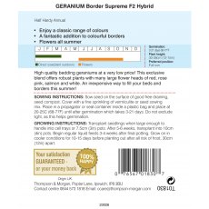 Geranium Border Supreme F2 Hybrid Geranium Border Supreme F2 Hybrid