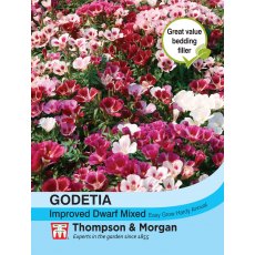 Godetia Improved Dwarf Mixed Godetia Improved Dwarf Mixed