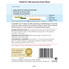 Godetia Improved Dwarf Mixed Godetia Improved Dwarf Mixed