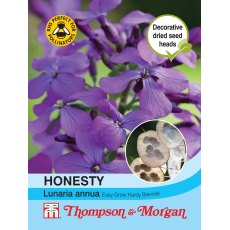 Honesty (Lunaria or Silver Dollar) Honesty (Lunaria or Silver Dollar)