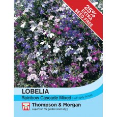 Lobelia (Trailing) Rainbow Cascade Mixed Lobelia (Trailing) Rainbow Cascade Mixed