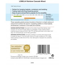 Lobelia (Trailing) Rainbow Cascade Mixed Lobelia (Trailing) Rainbow Cascade Mixed