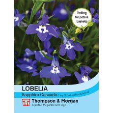 Lobelia (Trailing) Sapphire Cascade Lobelia (Trailing) Sapphire Cascade