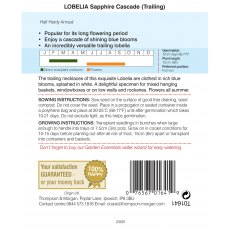 Lobelia (Trailing) Sapphire Cascade Lobelia (Trailing) Sapphire Cascade