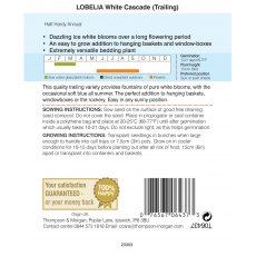 Lobelia (Trailing) White Cascade Lobelia (Trailing) White Cascade