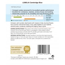 Lobelia Cambridge Blue Lobelia Cambridge Blue