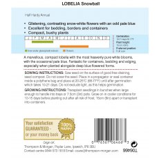 Lobelia Snowball Lobelia Snowball