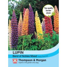 Lupin Band of Nobles Mixed Lupin Band of Nobles Mixed