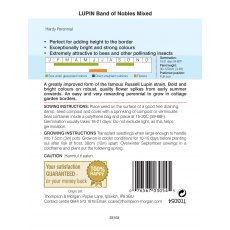 Lupin Band of Nobles Mixed Lupin Band of Nobles Mixed