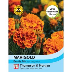 Marigold Bonita Mixed (French) Marigold Bonita Mixed (French)