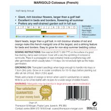 Marigold Colossus Marigold Colossus