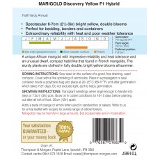 Marigold Discovery Yellow F1 Hybrid (African) Marigold Discovery Yellow F1 Hybrid (African)