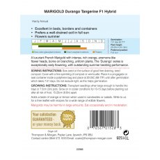 Marigold Durango Tangerine F1 Hybrid Marigold Durango Tangerine F1 Hybrid