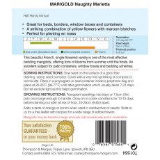 Marigold Naughty Marietta (French) Marigold Naughty Marietta (French)